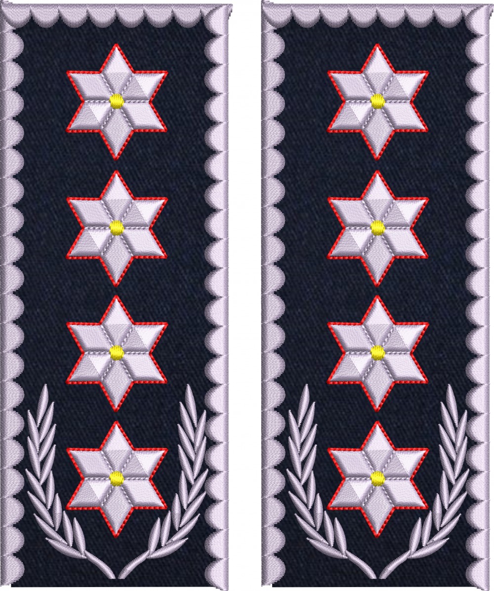 GRADE CHESTOR GENERAL DE POLITIE IGPR